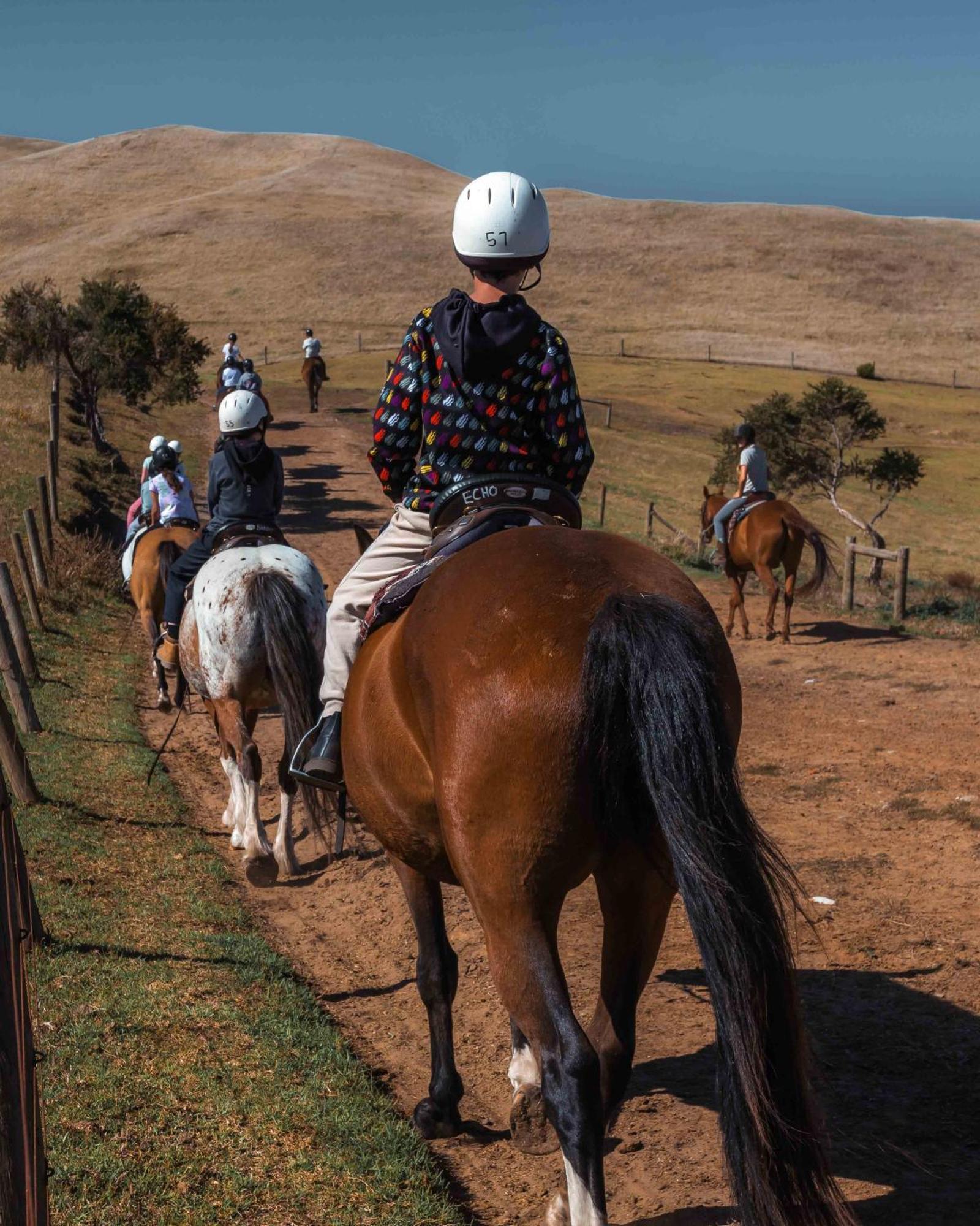 The Ranch Mornington Peninsula Boneo Exterior foto